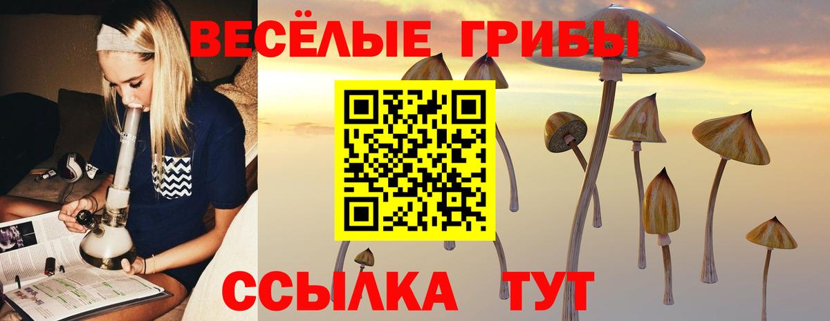 купить наркотик  Псилоцибиновые грибы MAGIC MUSHROOMS  Вход с VPN  Нурлат 