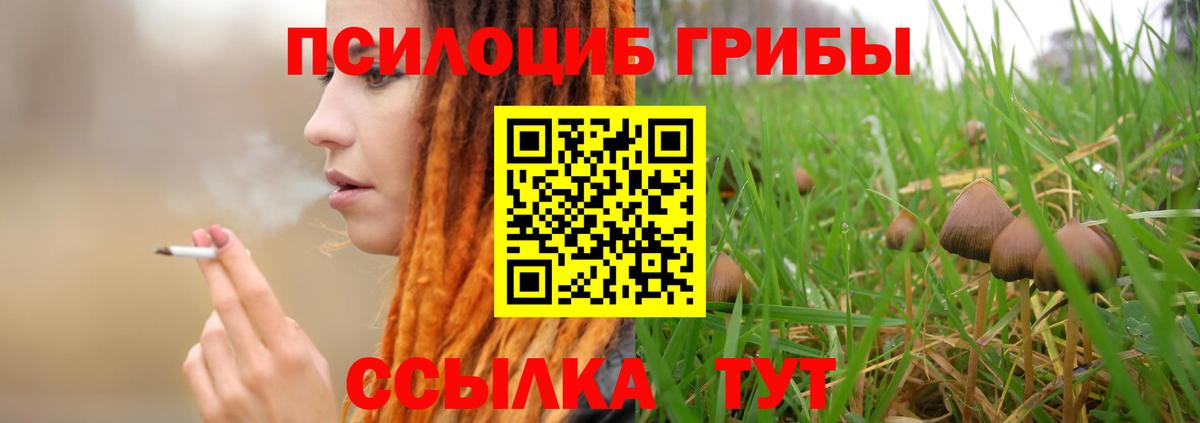Псилоцибиновые грибы мицелий Нурлат