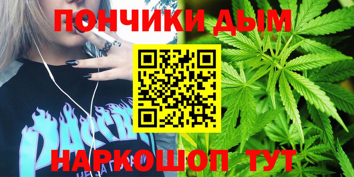Конопля ГИДРОПОН  Вход с VPN  Бошки марихуана White Widow  Нурлат  Каннабис сатива 
